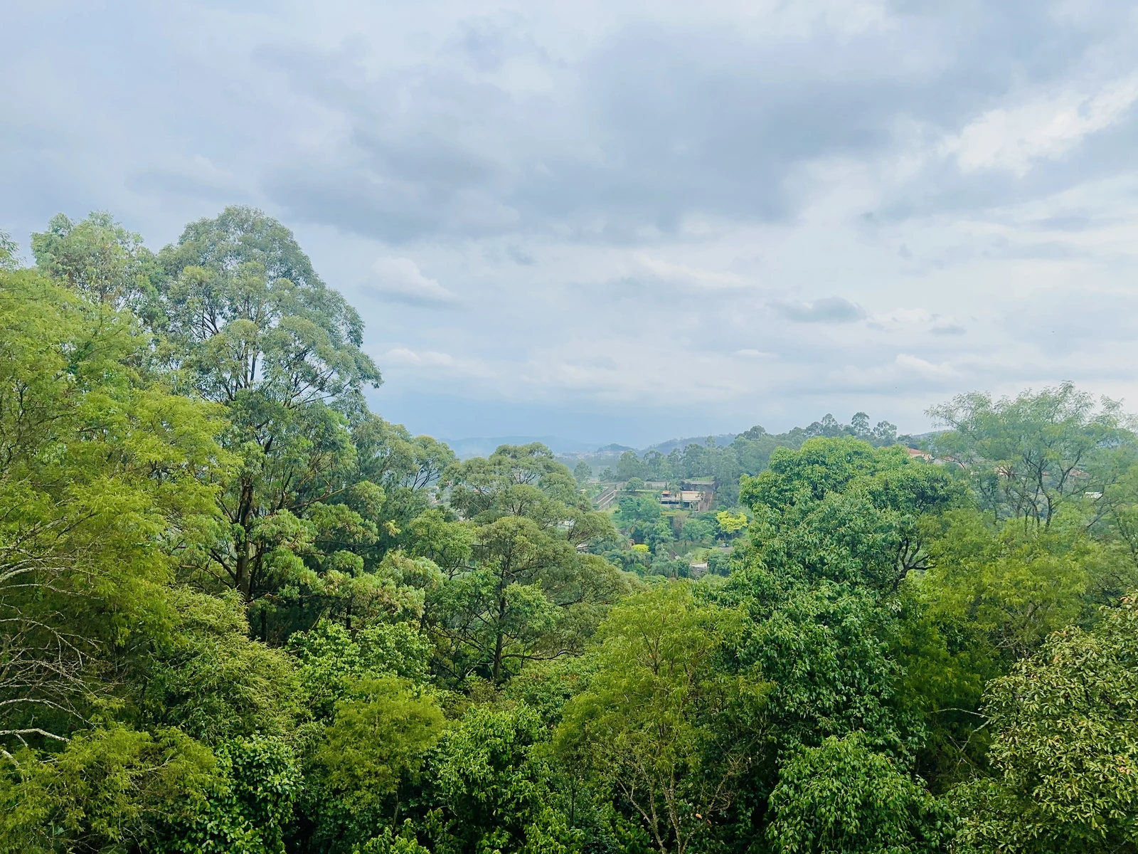 Ambiente tranquilo cercado pela natureza